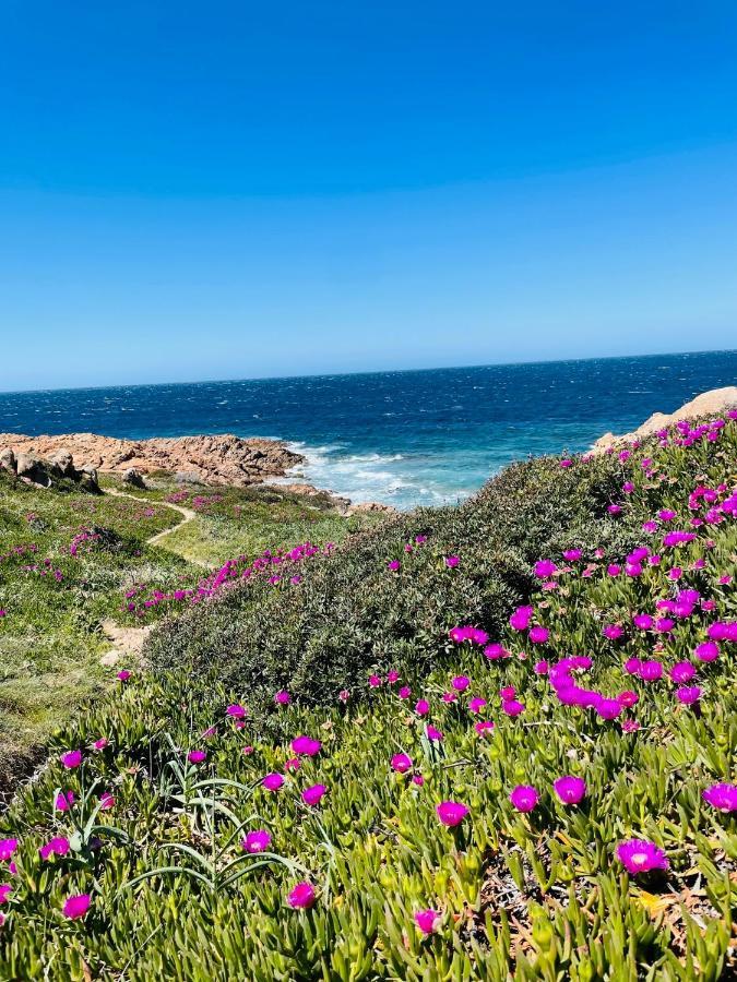 Zaffiro Casa Vacanze Al Mare Valledoria  Bagian luar foto