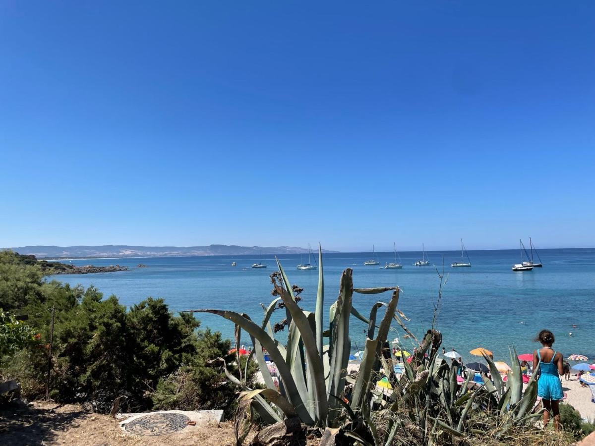 Zaffiro Casa Vacanze Al Mare Valledoria  Bagian luar foto