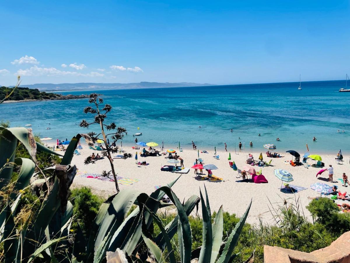 Zaffiro Casa Vacanze Al Mare Valledoria  Bagian luar foto