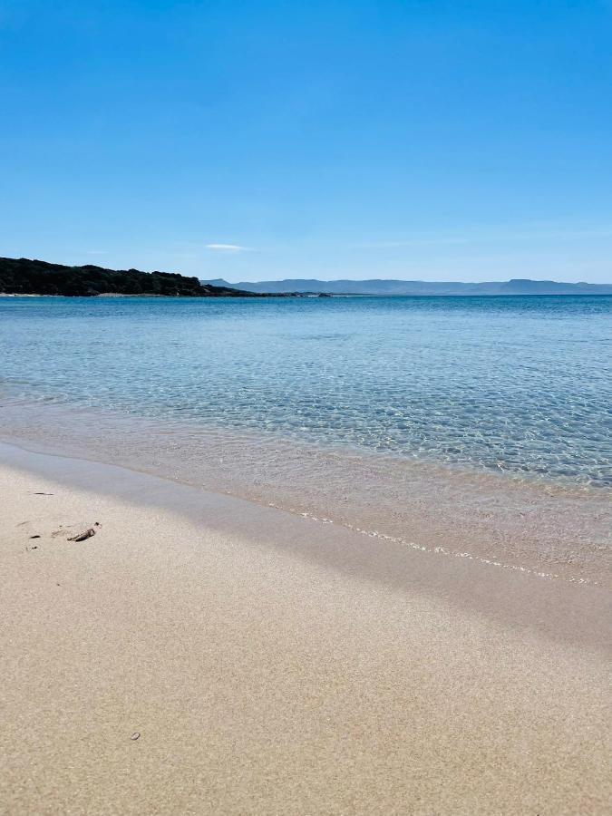 Zaffiro Casa Vacanze Al Mare Valledoria  Bagian luar foto